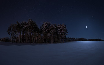 Картинка природа зима луна лес ночь снег