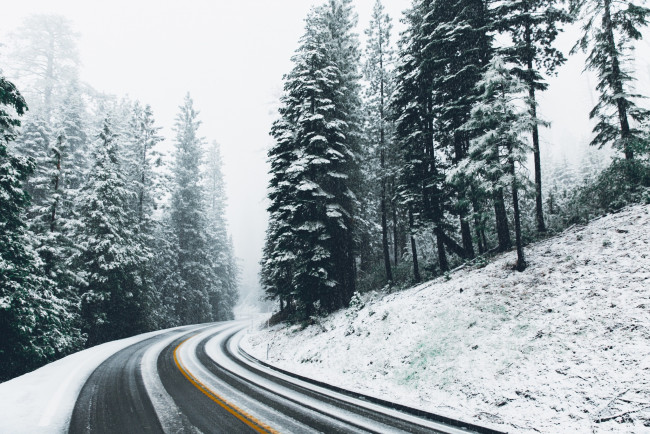 Обои картинки фото природа, дороги, зима, дорога, снег, лес