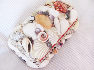 Картинка разное ракушки кораллы декоративные spa камни море шкатулка
