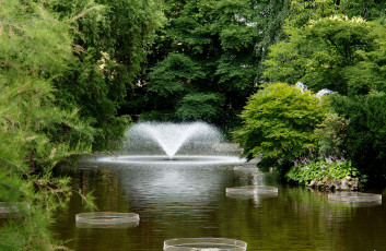Картинка природа парк фонтан озеро