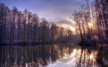 Картинка природа реки озера утро озеро деревья