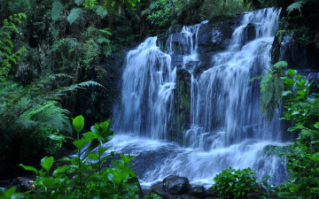 Картинка природа водопады вода растения камни