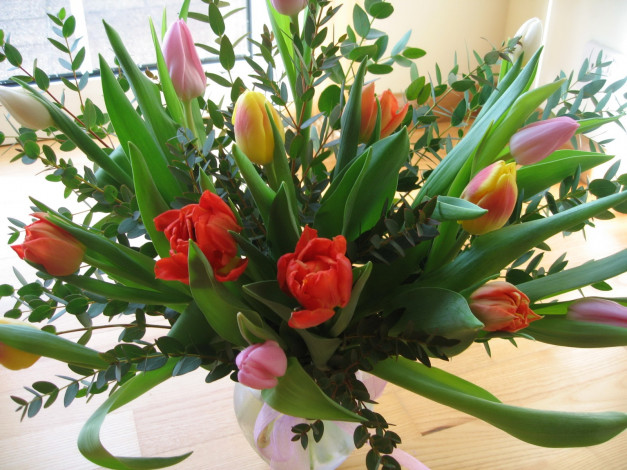 Обои картинки фото цветы, тюльпаны, ваза, листья, бутоны