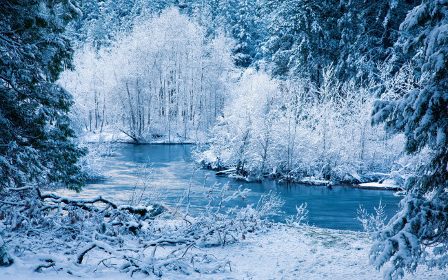 Обои картинки фото природа, зима, река, иней