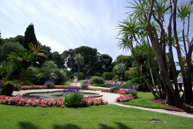 Обои картинки фото природа, парк, цветы, фонтан, пальмы