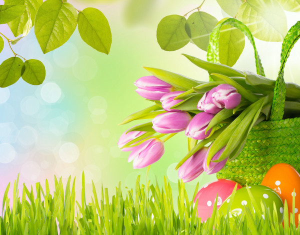 Обои картинки фото праздничные, пасха, листья, сумка, крашенки, яйца, бутоны, трава, тюльпаны, цветы