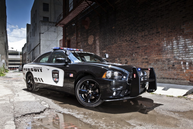 Обои картинки фото 2012, dodge, charger, pursuit, автомобили, полиция