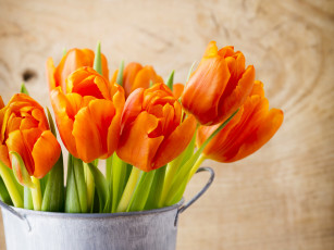 Картинка цветы тюльпаны крупным планом оранжевые листья
