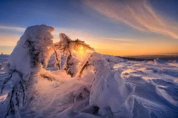 Картинка природа зима снег деревья закат
