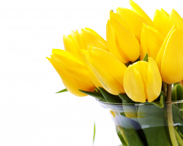 Обои картинки фото цветы, тюльпаны, желтые, белый, фон, ваза