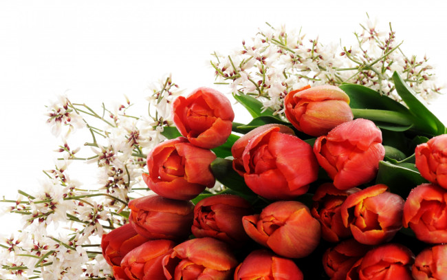 Обои картинки фото цветы, разные вместе, тюльпаны, букет