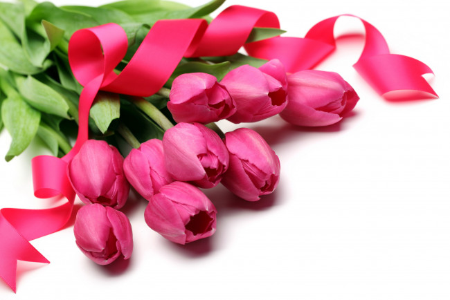 Обои картинки фото цветы, тюльпаны, лента, розовый