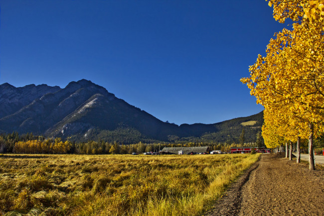 Обои картинки фото природа, горы, осень, деревья, поле