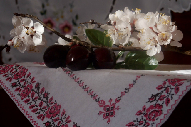 Обои картинки фото цветы, цветущие деревья ,  кустарники, яблоня, полотенце