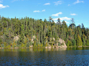 Картинка природа реки озера река деревья вода