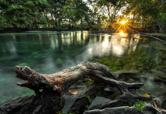 Картинка природа восходы закаты водоем деревья закат коряга
