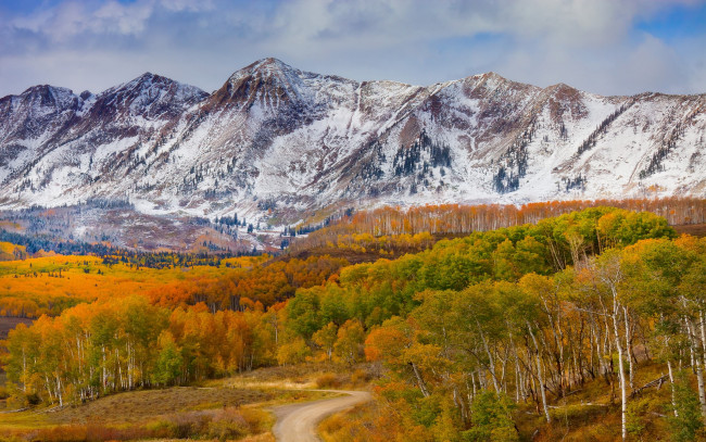 Обои картинки фото природа, горы, пейзаж, берёзы, снег, осень