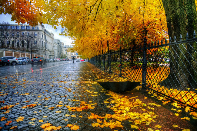 Обои картинки фото города, санкт-петербург,  петергоф , россия, екатерининский, парк, забор, листья, санкт, петербург, зонт, осень, дождь
