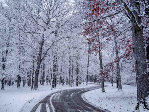 обоя природа, дороги, дорога, деревья, снег