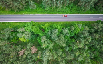 Картинка природа дороги трасса лес дорога