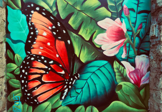 Картинка разное граффити бабочка