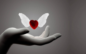 Картинка 3д+графика романтика+ romantics рука сердечко крылышки