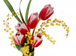 Картинка цветы букеты композиции тюльпаны