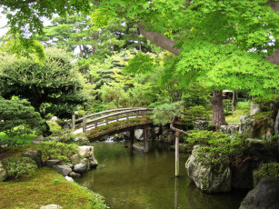 Картинка природа парк япония японский сад зелень мост лето вода