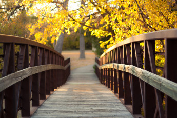 обоя природа, дороги, осень, мостик