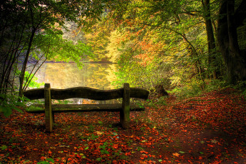 Картинка природа парк деревья озеро осенью скамейка