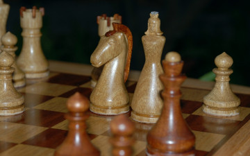 Картинка шахматы разное настольные игры азартные vinar