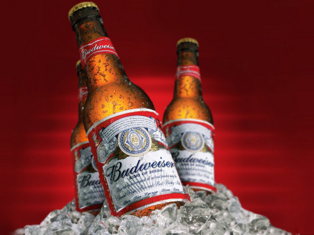 Обои картинки фото бренды, budweiser, пиво, лед, бутылки