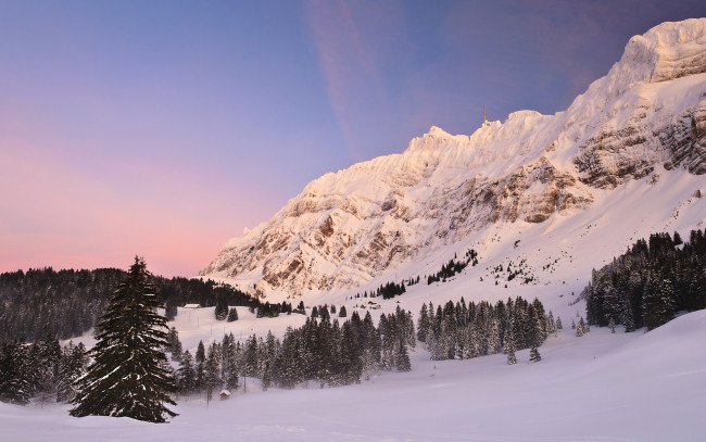 Обои картинки фото природа, зима, пейзаж, снег, ели, деревья, горы