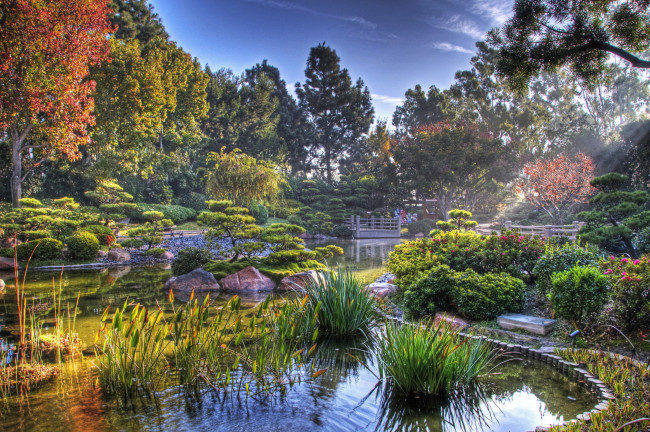 Обои картинки фото природа, парк, пруд, японский, сад, япония