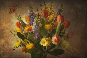 Картинка цветы букеты +композиции тюльпаны дельфиниум розы ранункулюс бабочка