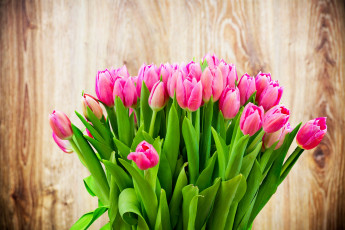 Картинка цветы тюльпаны flowers tulips colorful