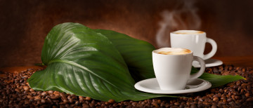 Картинка еда кофе +кофейные+зёрна листочки ароматный кофейные зерна