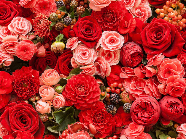 Обои картинки фото цветы, разные вместе, ранункулюс, георгины, розы, лютик