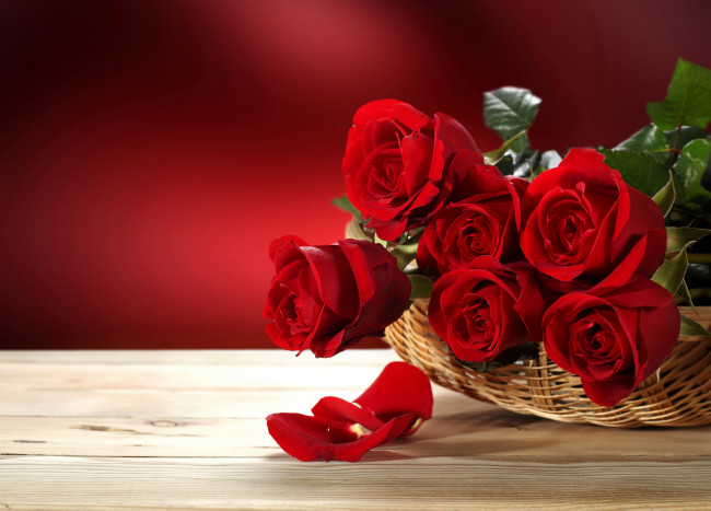 Обои картинки фото цветы, розы, корзина, красные