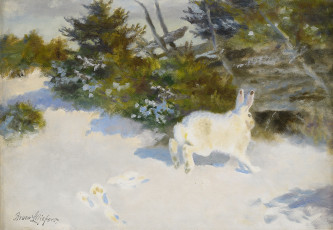 Картинка рисованное животные +зайцы +кролики заец снег лес