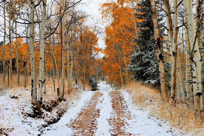 Обои картинки фото природа, дороги, осень, деревья, снег