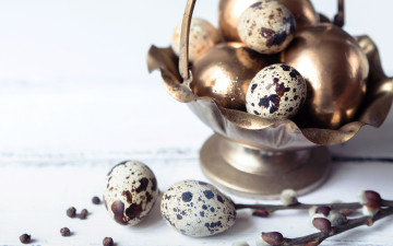 Картинка праздничные пасха eggs spring яйца крашеные happy easter верба decoration ветки golden весна перепелиные