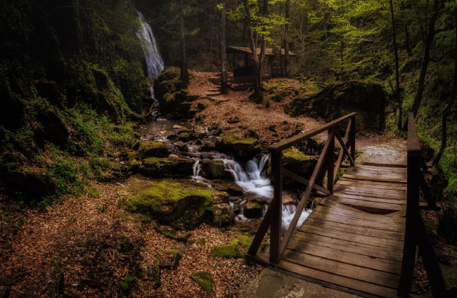 Обои картинки фото природа, водопады, ручей, водопад, ivailo, bosev, весна, в, лесу, лес, мостик
