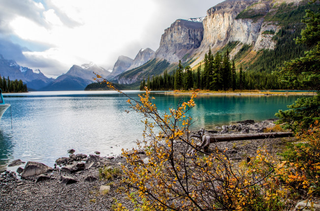 Обои картинки фото природа, горы, национальный, парк, джаспер, остров, спирит, на, озере, малайн, канада