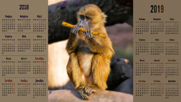 обоя календари, животные, флейта, обезьяна