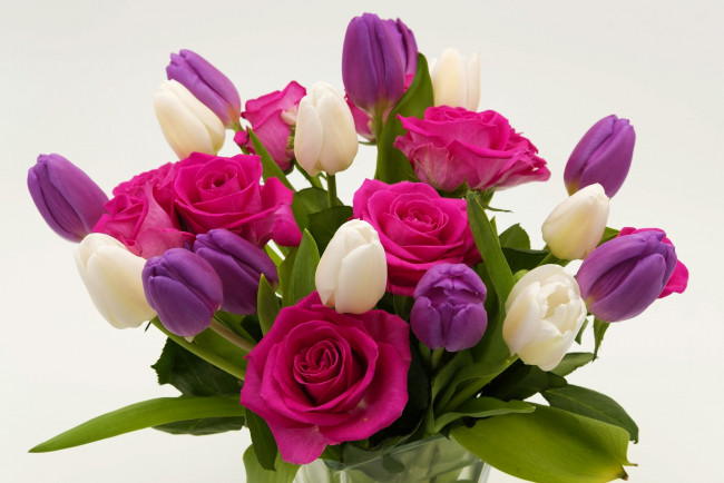 Обои картинки фото цветы, букеты,  композиции, тюльпаны, розы