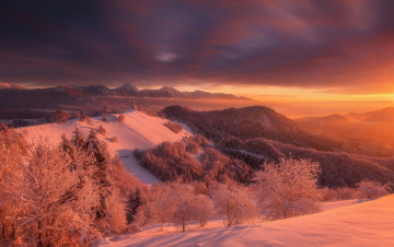 Картинка природа восходы закаты юлийские альпы словения церковь горы закат деревья