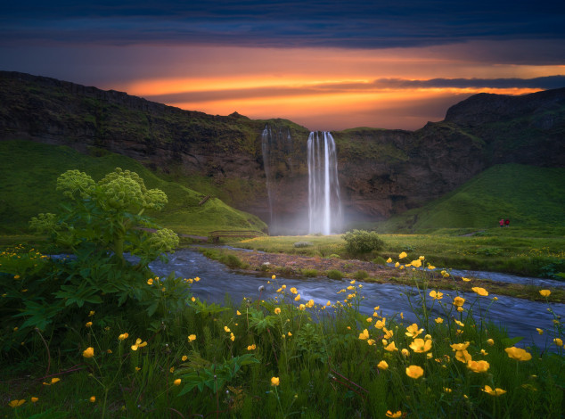 Обои картинки фото природа, водопады, исландия, водопад, цветы, закат