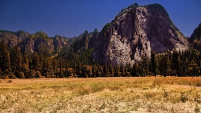 Обои картинки фото природа, горы, трава, скалы, лес