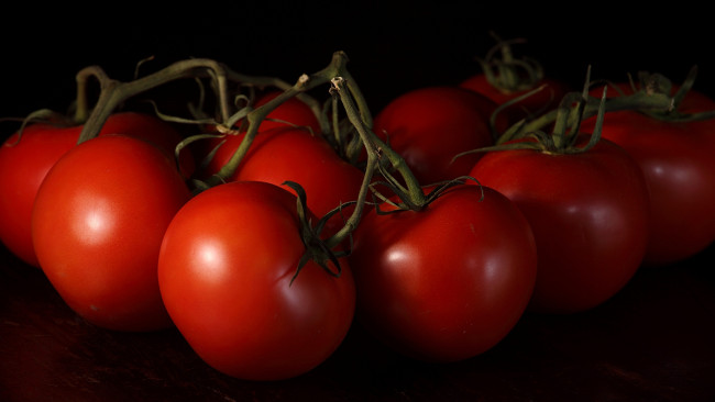 Обои картинки фото еда, помидоры, томаты, макро